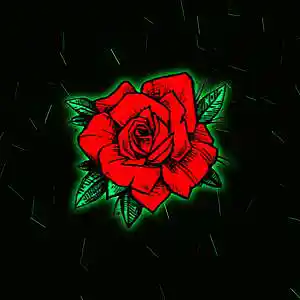 Song picture