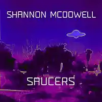 Picture for song 'Saucers (Original Mix)' by artist 'Shannon McDowell'