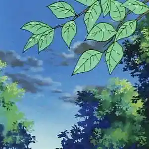 Picture for song 'Boom bap Type Beat Ilustraciones10' by artist 'Sonoratabeats'