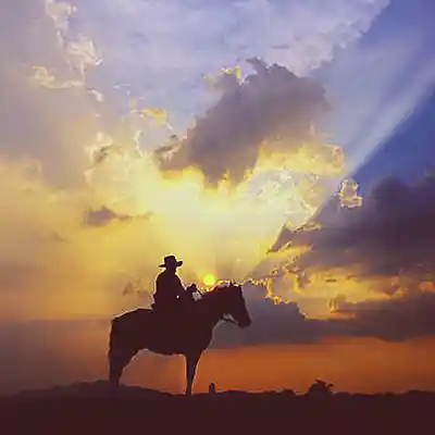 Picture for song 'The Lonesome Trail' by artist 'TimM Songs'