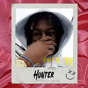 Picture for song 'Hunter' by artist 'True North Beats'