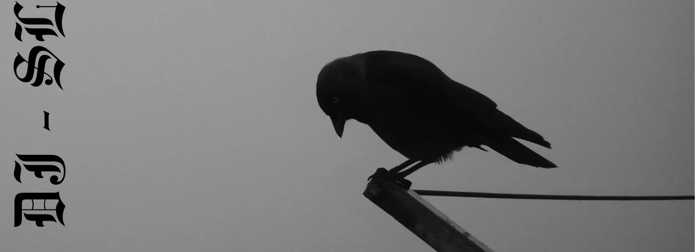 cover pic