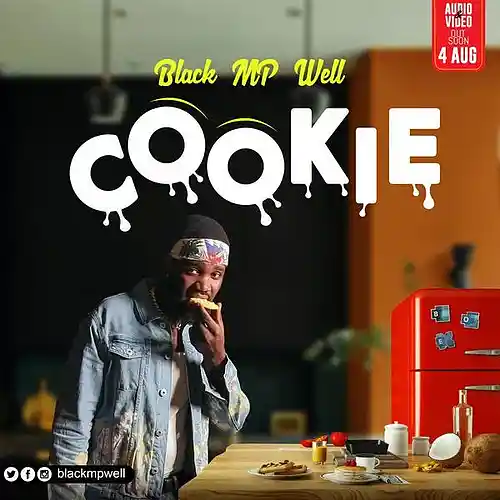 Picture for song 'BLACK MP WELL - I Was Sexting You' by artist 'Black MP Well'