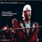 Picture for song 'BBD- Powers in My Hands (Ric Flair) Prod. Bouzi' by artist 'Big Black Dog (BBD)'