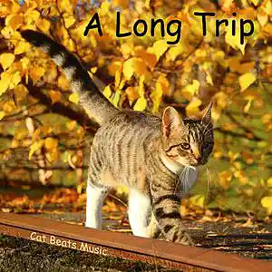 Picture for song 'A Long Trip' by artist 'Cat Beats'