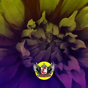 Picture for song 'BLOOM (Sad Hyperpop Type Beat)' by artist 'Chorderline'