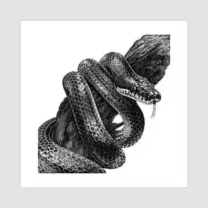 Picture for song 'Snakes (Spacey Type Beat) - Devezin.com' by artist 'Devezin'