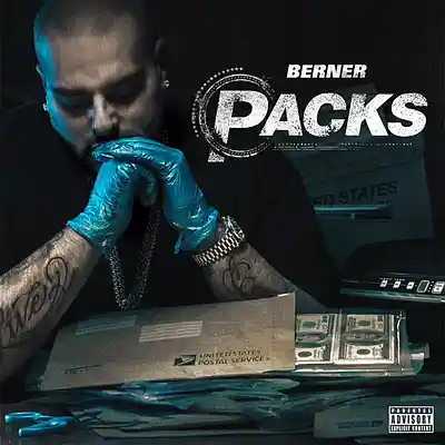 Picture for song 'Berner - Packs (Remake)' by artist 'Envy.P'