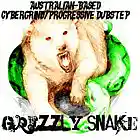 Picture for song '11 (Dick) Got Me Tricked, Bro' by artist 'Grizzly Snake'
