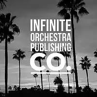 Picture for song 'evolution' by artist 'iNFINITE ORCHESTRA PUBLISHING CO.'