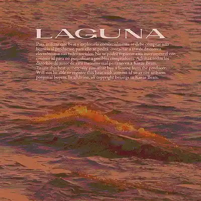 Picture for song 'Laguna (Delaossa type beat)' by artist 'Kinze Beats'