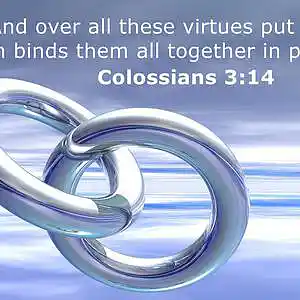 Picture for song 'Custom Made For You' by artist 'Off The Rails'