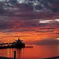 Picture for song 'Wallaroo Lucky Bay' by artist 'Peter Kosta's Galaxy Rock Band'