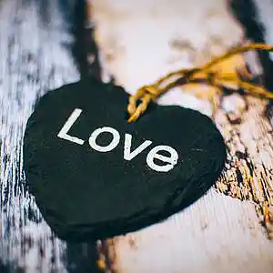 Picture for song 'Why We Love (feat. Aira Winterland)' by artist 'Round The Globe'