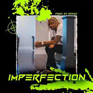 Picture for song 'Polo G x Li Tjay x Lil Durk Type Beat - Imperfect' by artist 'sange beats'