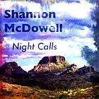 Picture for song 'Night Calls (Original Mix)' by artist 'Shannon McDowell'