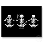 Picture for song 'C NO EVIL *NEW*' by artist '8PE 8eatz'