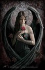 Picture for song 'Fallen Angel.mp3' by artist 'Andi Gryph'