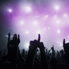 Picture for song 'Fall Back : sold' by artist 'Arson Of ENCORE'