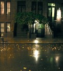 cover pic