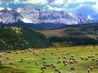 Picture for song 'La Gran Pradera' by artist 'Belosound'