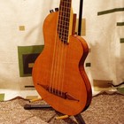 Picture for song 'Gautama' by artist 'Big Black Dog'