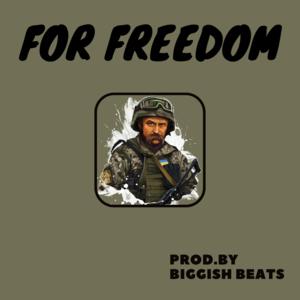 Picture for song 'For Freedom ( Hip Hop / Orchestral ) - 140 bpm' by artist 'Biggish Beats'