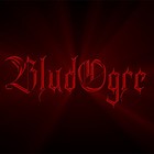 Picture for song 'Surviving The Torture' by artist 'BludOgre'