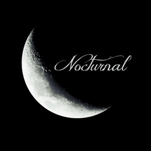 Picture for song 'NOCTURNAL ( LEASE 1 GET 3 FREE )' by artist 'Darius Jackson'