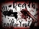 Picture for song 'Systematical_Suicidal_Dementia' by artist 'Dead Each Day Productions'