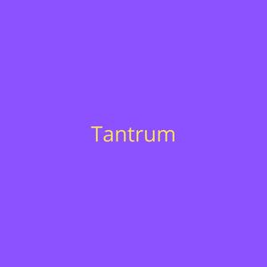 Picture for song '"Tantrum" - Lil Uzi Vert x Hyperpop Type Beat' by artist 'DJ Mauri B'