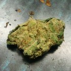 Picture for song 'Lemon Kush' by artist 'dmurka'