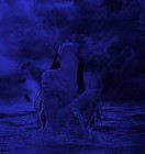 Picture for song 'BLUER THAN BLUES' by artist 'Dr. Bob's Jazz - Benefit Boppin' Quartet - JBBQ'