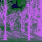 Picture for song 'Reggae Man.mp3' by artist 'Green Hill Gang'