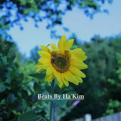 Picture for song '(NEW- FREEDOWNLOAD) The Feelin' (Soul/Boombap)' by artist 'Ha'kim'