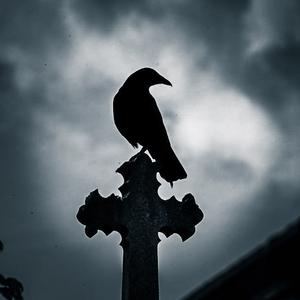 Picture for song 'GLOOM (Buy 1 Get 4 FREE)' by artist 'Inside Sky'