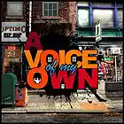Picture for song 'A Voice of my Own' by artist 'Stop Snooping4'