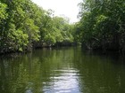 Picture for song 'Deep River Blues' by artist 'Joe Levis'