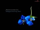 Picture for song 'still waiting(tagged)' by artist 'Kardz (Beats and instrumentals)'