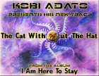 Picture for song 'Kobi Adato - The Cat Without The Hat' by artist 'Kobi Adato'