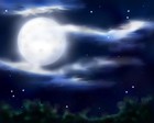 Picture for song '***(SOLD)***IN THE NIGHT' by artist 'LD The Storyteller'