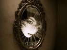 Picture for song 'STRANGER IN THE MIRROR' by artist 'LD The Storyteller'