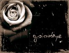 Picture for song '**New** Goodbye(Alternative/Contemporary)' by artist 'Legacy Evolution Productions'