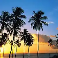 Picture for song 'California Breeze' by artist 'Lejindary Music'