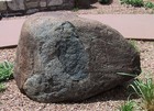 Picture for song 'My Rock' by artist 'LexTheSWB'