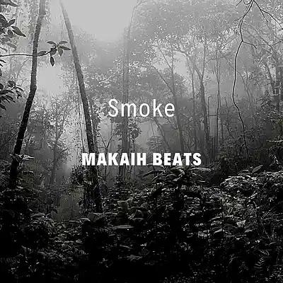 Picture for song 'Smoke' by artist 'Makaih Beats'