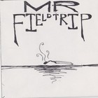 Picture for song 'Old Friends' by artist 'Mr FieldTrip'