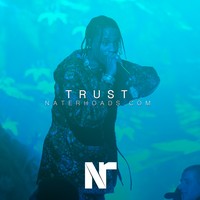 Picture for song 'Trust (FREE DL)' by artist 'Nate Rhoads'