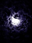 Picture for song 'Bluer, Almost Purple.mp3' by artist 'Oval Project'