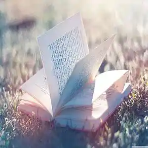 Picture for song 'More Than Words' by artist 'Philosopha Beats'